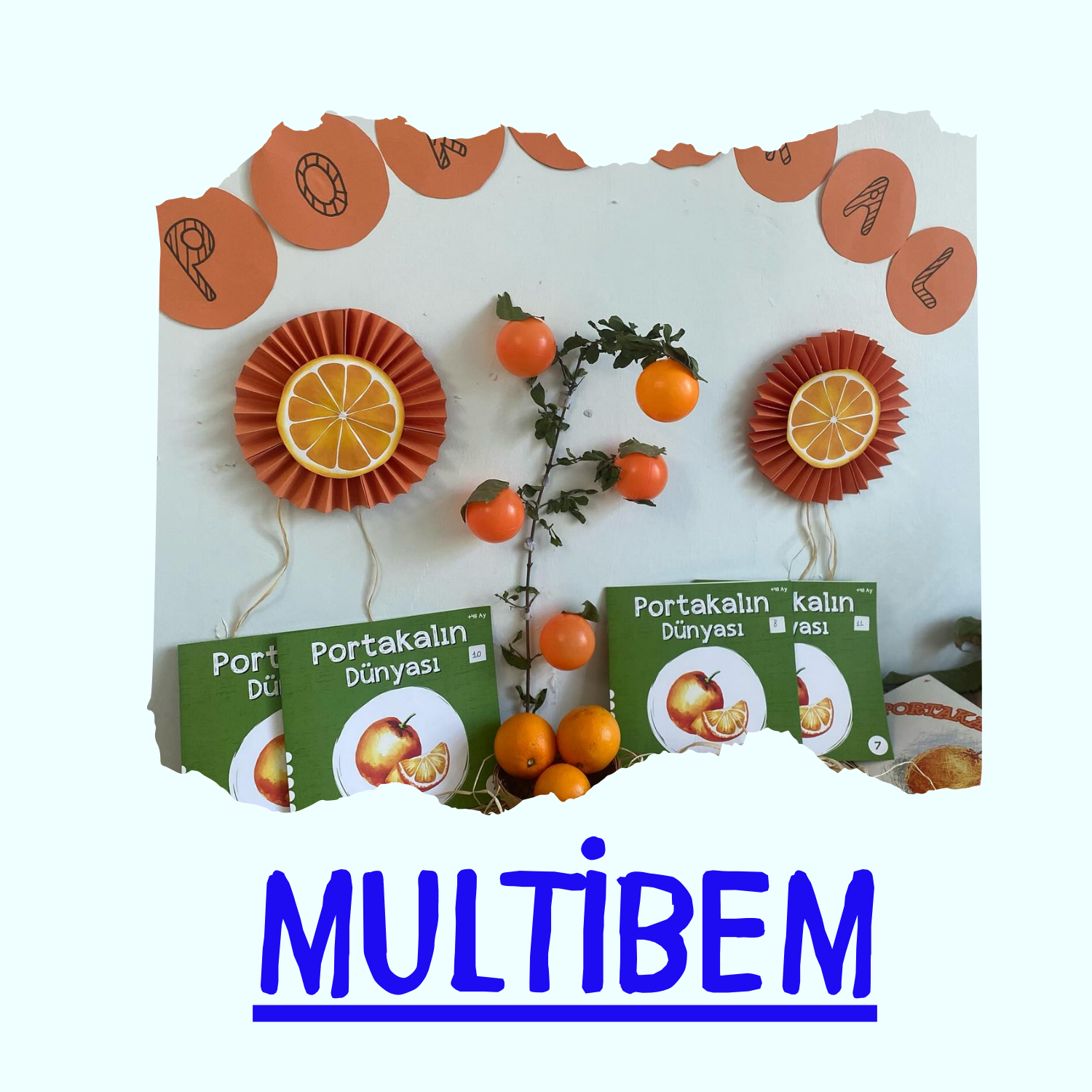 Eğitim programı görseli 2